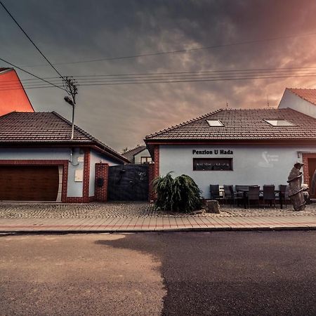 Penzion U Hada Велке Біловіце Екстер'єр фото