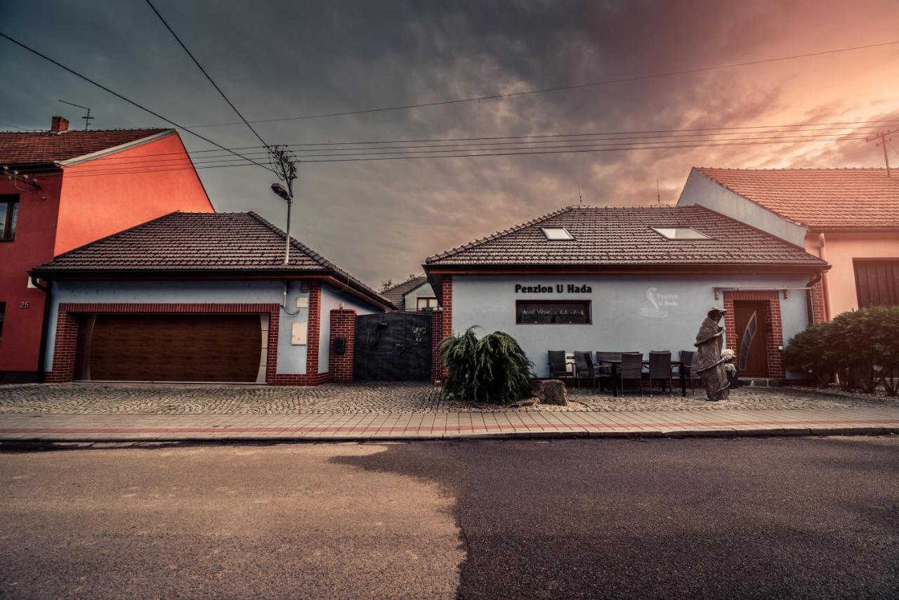 Penzion U Hada Велке Біловіце Екстер'єр фото